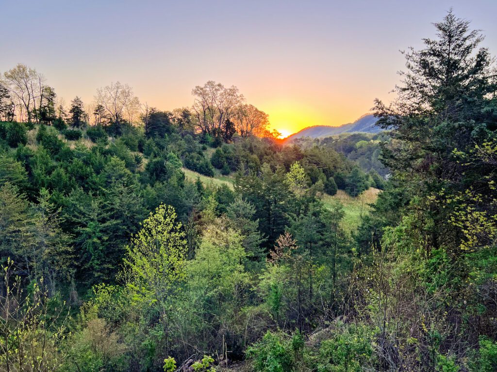 Beautiful sunrise from the back porch