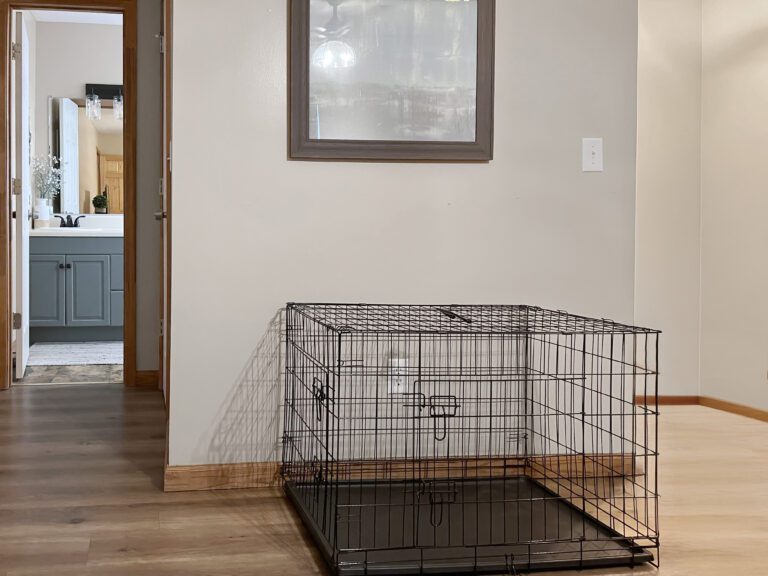 36" dog crate in each bedroom