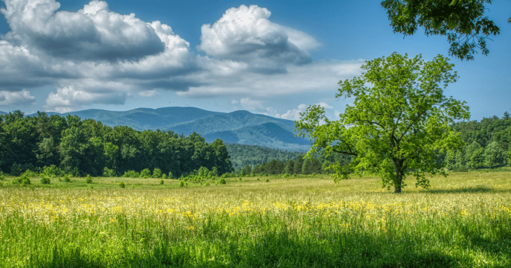 Cades Cove - one of Must-Visit Attractions in Smoky Mountains Tennessee