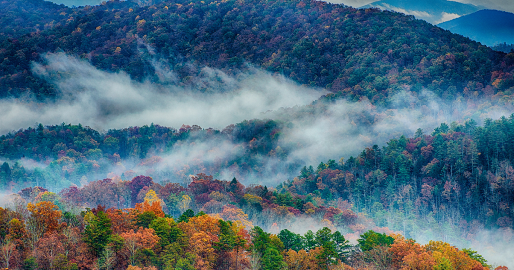 rainy autumn day in Great Smoky Mountains