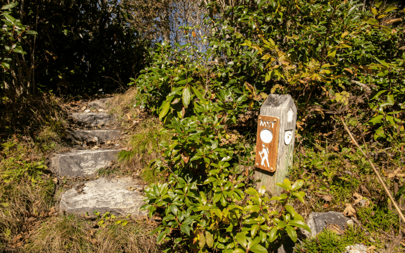 Mountains-to-Sea Trail marker