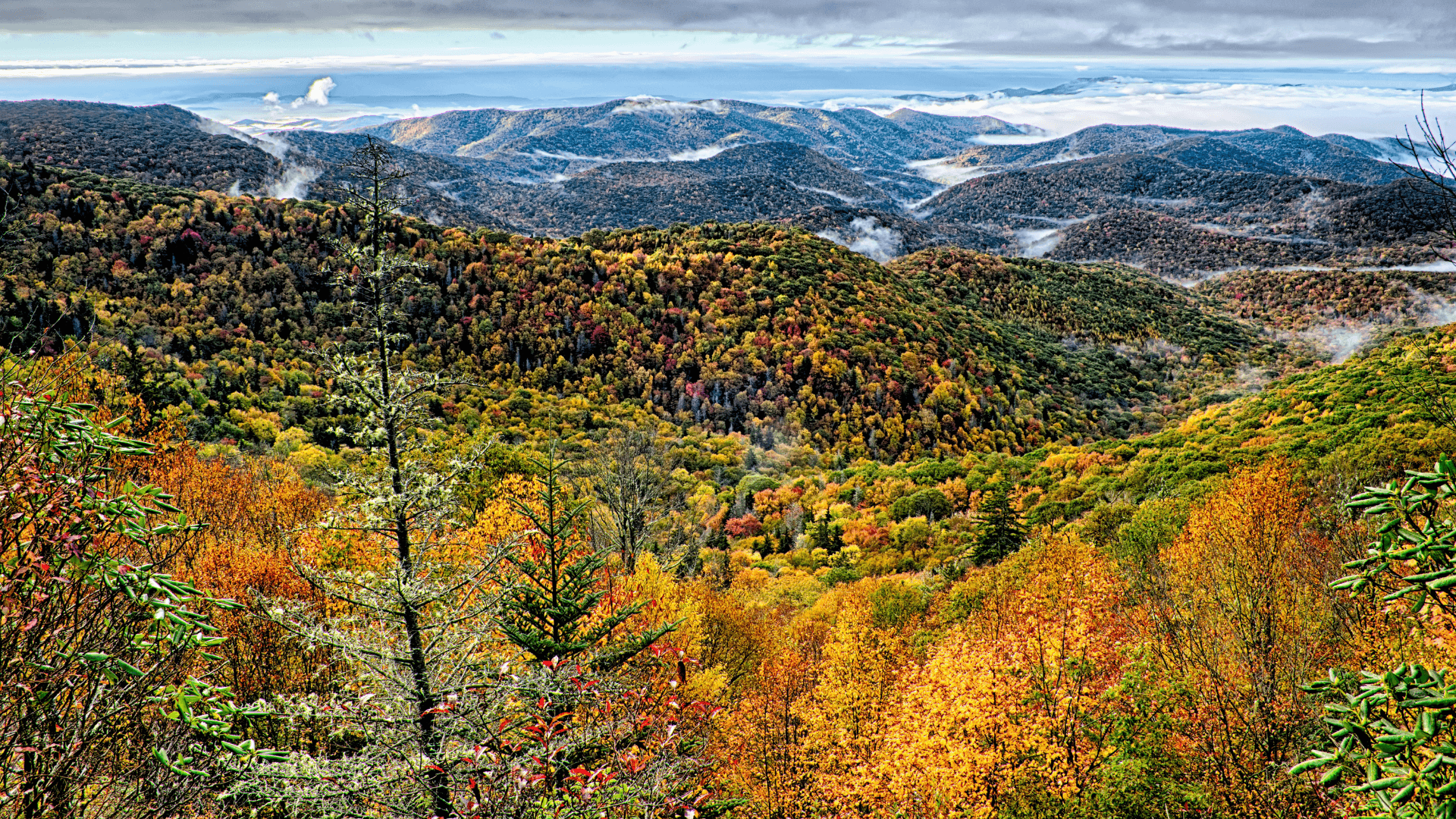 Things to Do in Maggie Valley NC in Fall